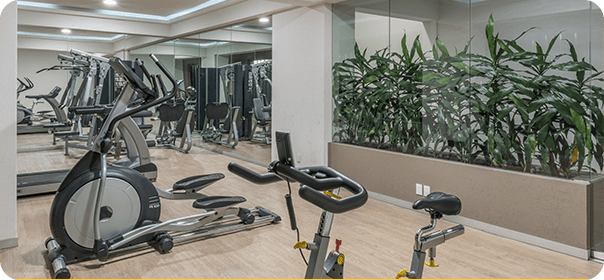 Gimnasio